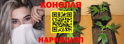 не бодяженный Камышлов