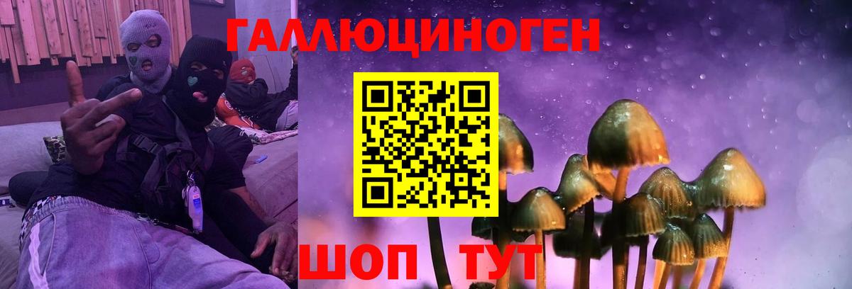 Галлюциногенные грибы прущие грибы  Вход с VPN  Кубинка  Галлюциногенные грибы Cubensis 